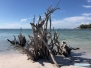 Beer Can Island Beach
