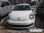 Beetle z rzęsami
