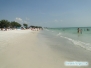 Coquina Beach Anna Maria