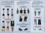 Dress code