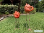 Flamingi po raz drugi