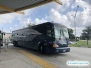 Greyhound