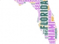 Florida USA state map  tag cloud