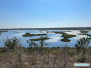 Robinson Preserve