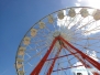 Sarasota County Fair 2015