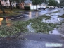 Sarasota po huraganie Irma