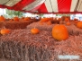 Sarasota Pumpkin Festival