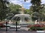 Savannah