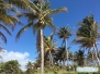 Spacer na Key Biscayne